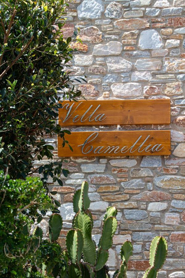 Villa Camellia Liaropá 外观 照片